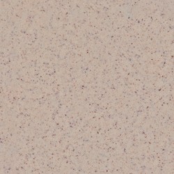 KAYISI ÇEKİRDEĞİ-S